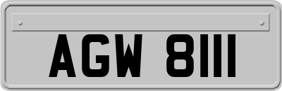 AGW8111