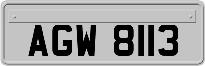AGW8113