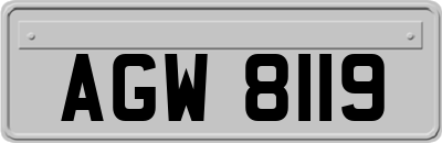 AGW8119
