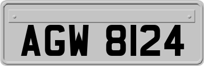 AGW8124