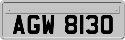 AGW8130
