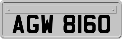 AGW8160