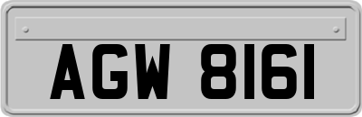 AGW8161