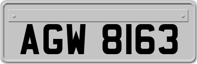 AGW8163