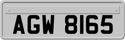 AGW8165