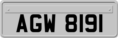 AGW8191