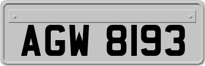AGW8193