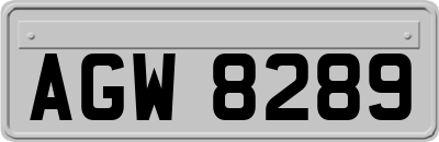 AGW8289