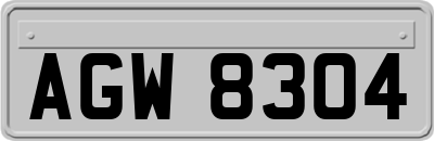 AGW8304
