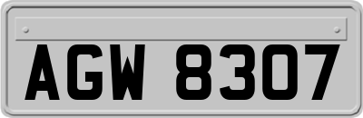 AGW8307
