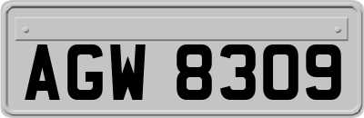 AGW8309