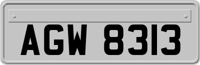 AGW8313