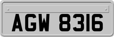 AGW8316