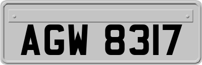 AGW8317
