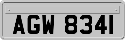 AGW8341
