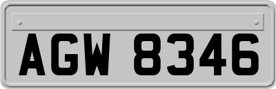 AGW8346