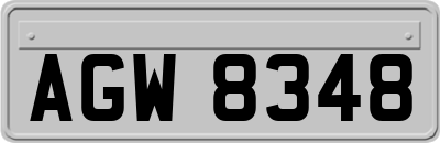 AGW8348