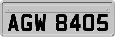AGW8405