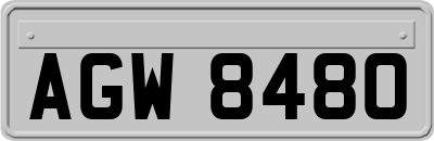 AGW8480