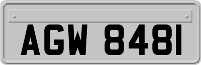 AGW8481