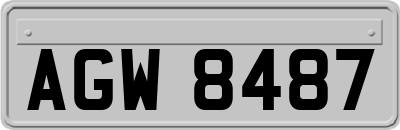AGW8487