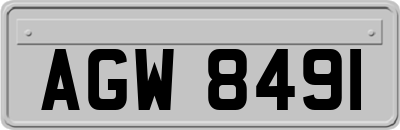 AGW8491