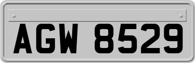 AGW8529
