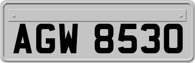 AGW8530