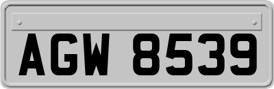 AGW8539