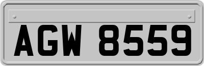 AGW8559