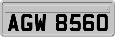 AGW8560