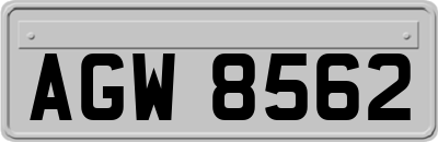 AGW8562