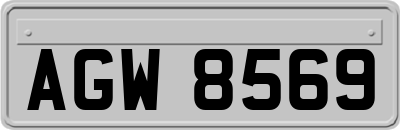 AGW8569