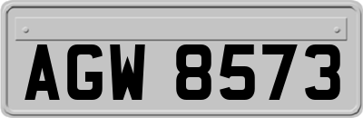 AGW8573