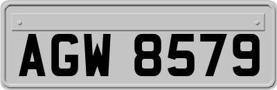 AGW8579