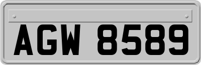 AGW8589