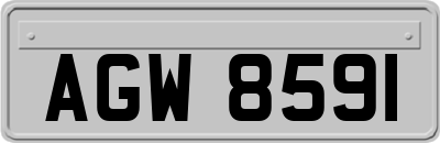 AGW8591