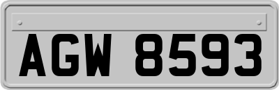 AGW8593