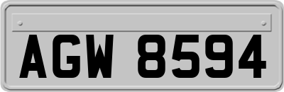 AGW8594