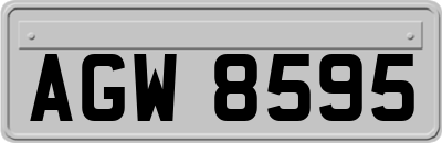 AGW8595