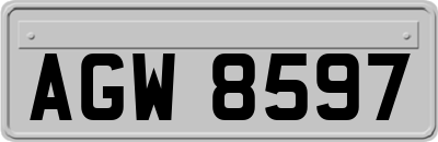 AGW8597