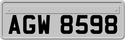 AGW8598