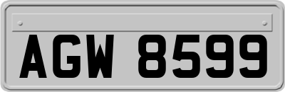 AGW8599