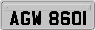 AGW8601