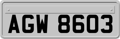 AGW8603
