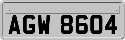 AGW8604