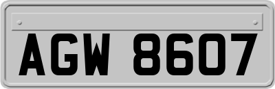 AGW8607