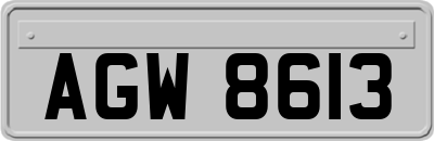 AGW8613