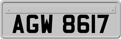 AGW8617