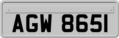 AGW8651